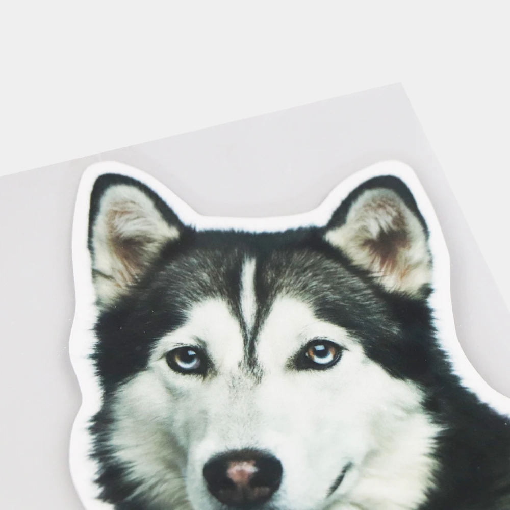YJZT 11.516.9CM Siberian Husky Funny Dog Windshield Window Decoration Car Stickers Vinyl Decals 21A-0353 
YJZT 11.516.9CM Siberian Husky Funny Dog Windshield Window Decoration Car Stickers Vinyl Decals 21A-0353