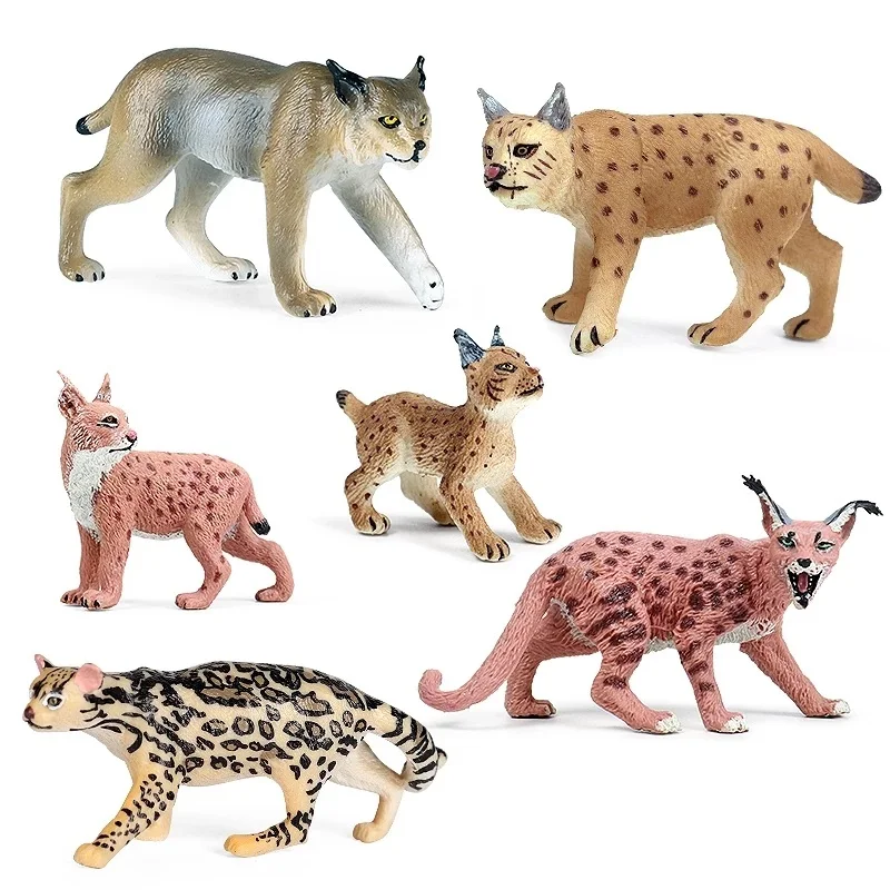 2021 Classic Wild Forest Animals Simulations Tiger Cat Lynx Caracal Action Figure Figurines PVC Model Education School Kids Toys
2021 Classic Wild Forest Animals Simulations Tiger Cat Lynx Caracal Action Figure Figurines PVC Model Education School Kids Toys