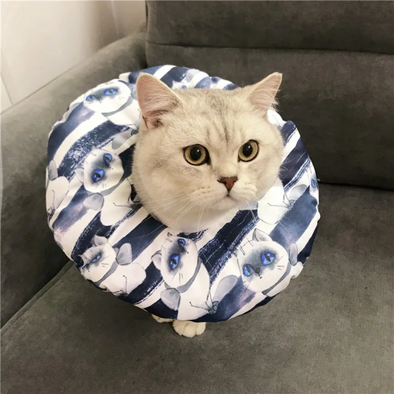 Elizabethan Collar Pet Dog Cat Neck Cone Recovery Collar for Anti-Bite Lick Surgery Wound Healing Pet waterproof Collar
Elizabethan Collar Pet Dog Cat Neck Cone Recovery Collar for Anti-Bite Lick Surgery Wound Healing Pet waterproof Collar