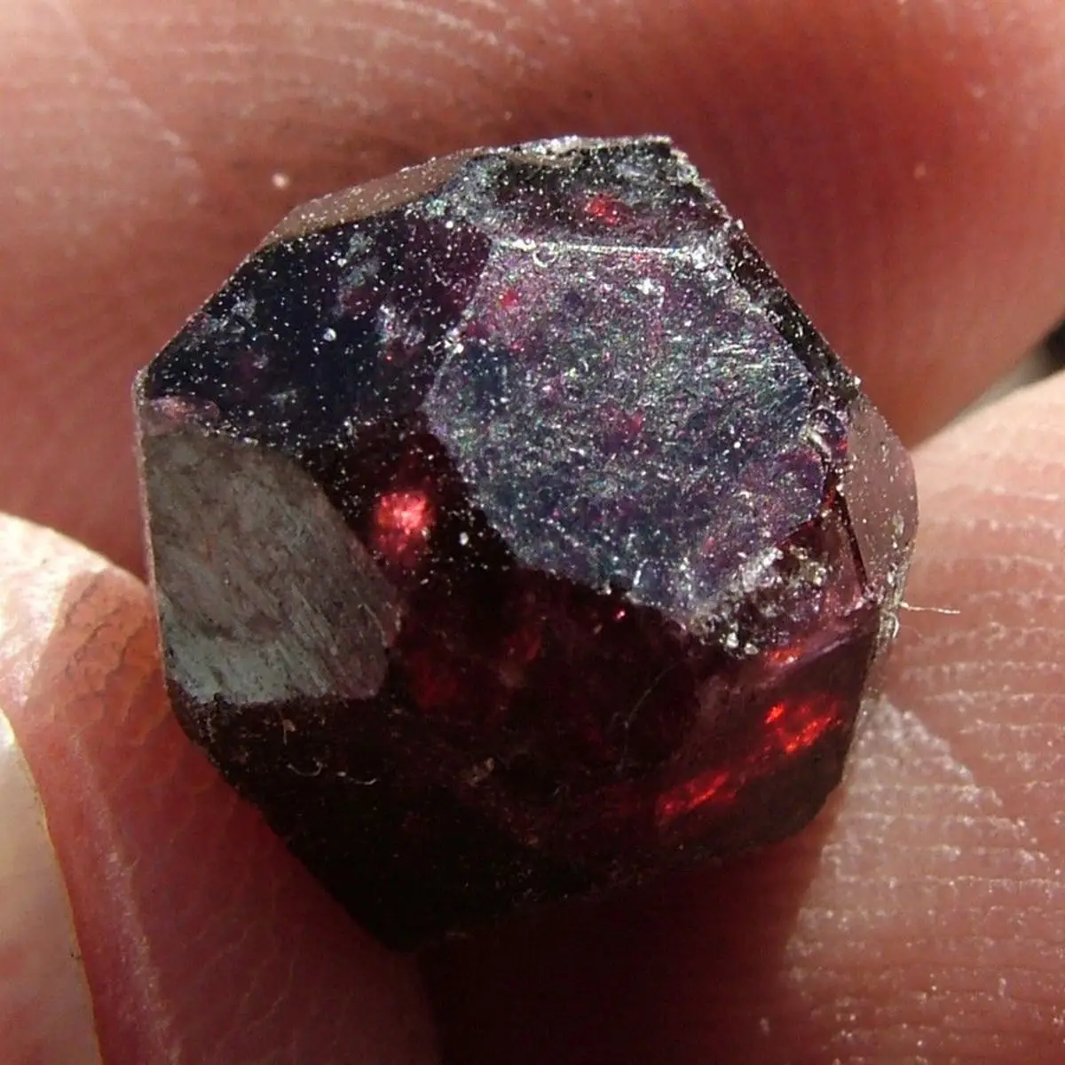 1Pc Red Natural Garnet Quartz Crystal Gemstone Healing Energy Stone Garden Yard Home Degaussing Rough Mineral Specimen Decor New 
1Pc Red Natural Garnet Quartz Crystal Gemstone Healing Energy Stone Garden Yard Home Degaussing Rough Mineral Specimen Decor New