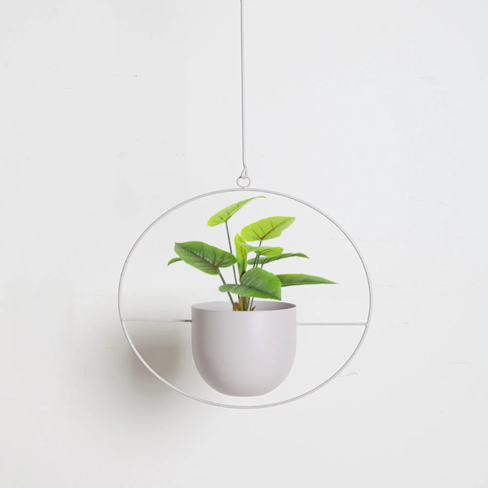 Metal Iron Rack Hanging Flower Pot Simple Wall Hanging Flower Pot Bamboo Tray Iron Frame Succulent Decorative Hanging Basket
Metal Iron Rack Hanging Flower Pot Simple Wall Hanging Flower Pot Bamboo Tray Iron Frame Succulent Decorative Hanging Basket