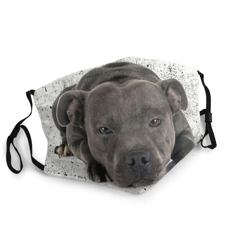 Washable Staffordshire Bull Terrier Dog Mouth Mask Animal Anti Haze Dustproof Protection Mask Respirator Mouth Muffle
Washable Staffordshire Bull Terrier Dog Mouth Mask Animal Anti Haze Dustproof Protection Mask Respirator Mouth Muffle