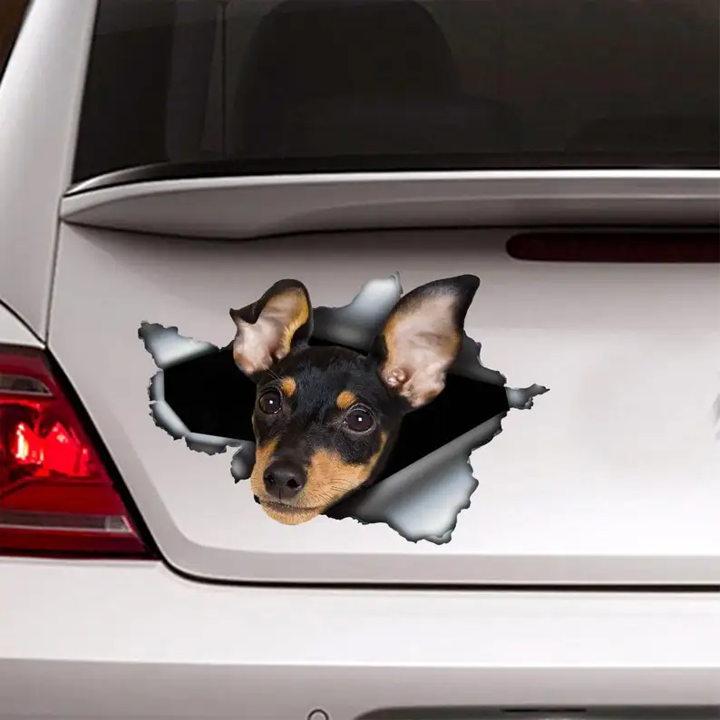 Miniature pinscher car decal , Miniature pinscher magnet, car decoration, pinscher sticker
Miniature pinscher car decal , Miniature pinscher magnet, car decoration, pinscher sticker
