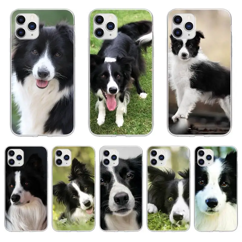 Beautiful Fun Border Collie Dog Puppies Phone Case For iPhone 6 7 8 Plus 11 12 ProMax X XR XS Max Phone Coque
Beautiful Fun Border Collie Dog Puppies Phone Case For iPhone 6 7 8 Plus 11 12 ProMax X XR XS Max Phone Coque