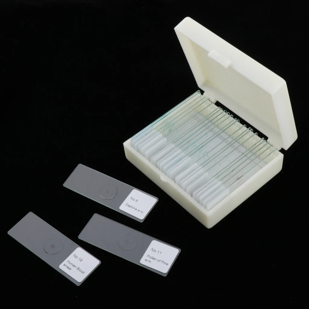 25pcs Prepared Microscope Slides Cover Glass Coverslip Slides Specimen 
25pcs Prepared Microscope Slides Cover Glass Coverslip Slides Specimen
