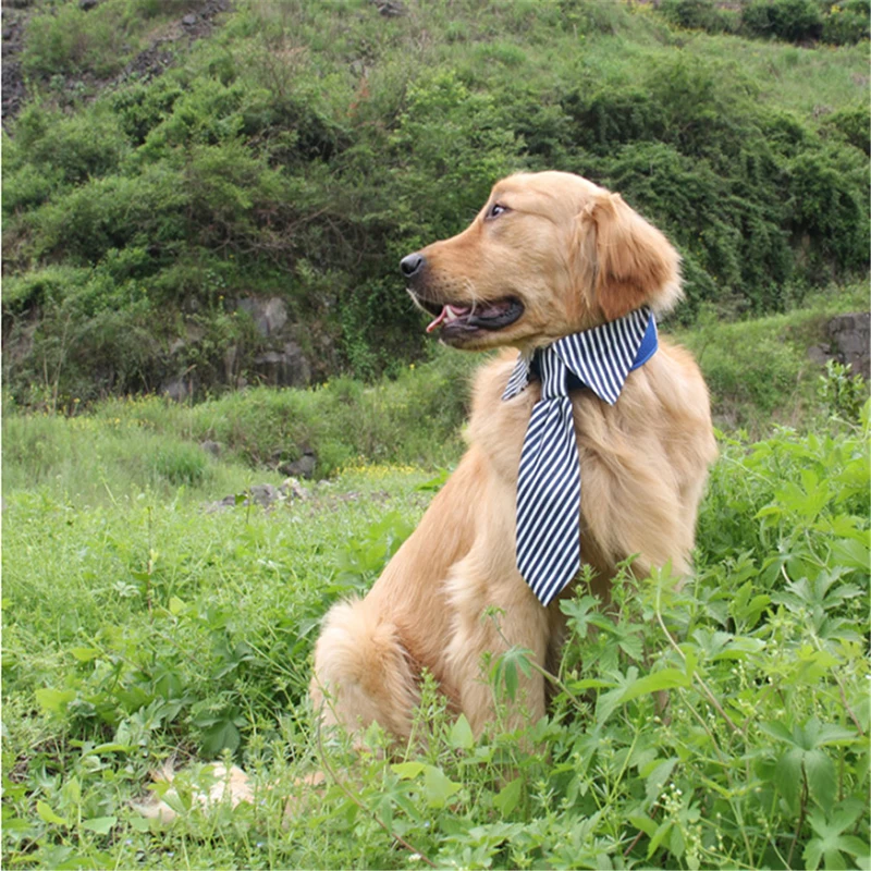1 Pc Adjustable Stripes Dog Tie For Medium Big Dog Large Dog Neckties Fashion Dog Accessories Puppy Grooming Bow Ties
1 Pc Adjustable Stripes Dog Tie For Medium Big Dog Large Dog Neckties Fashion Dog Accessories Puppy Grooming Bow Ties