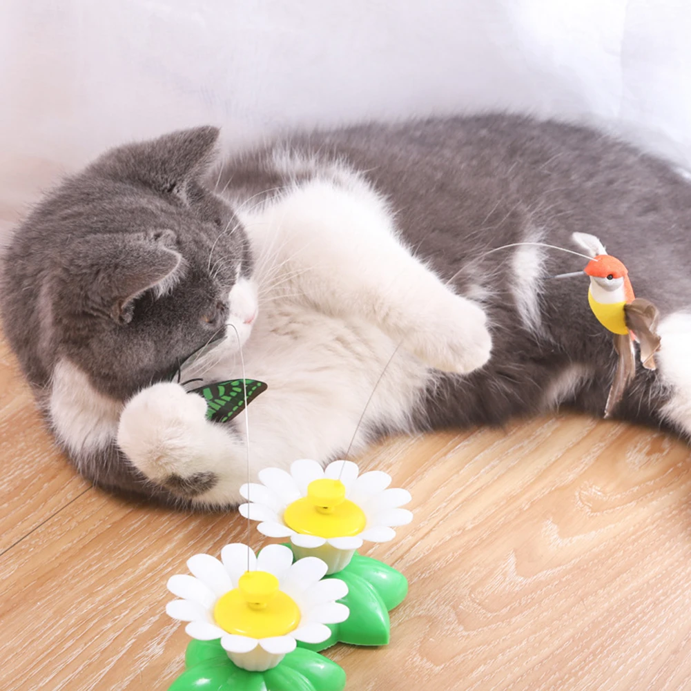 Automatic Bird Colorful Butterfly Teaser Cat Toy Pet Dog Trainning Random Color for Kitten Toy Supplies Accessories
Automatic Bird Colorful Butterfly Teaser Cat Toy Pet Dog Trainning Random Color for Kitten Toy Supplies Accessories