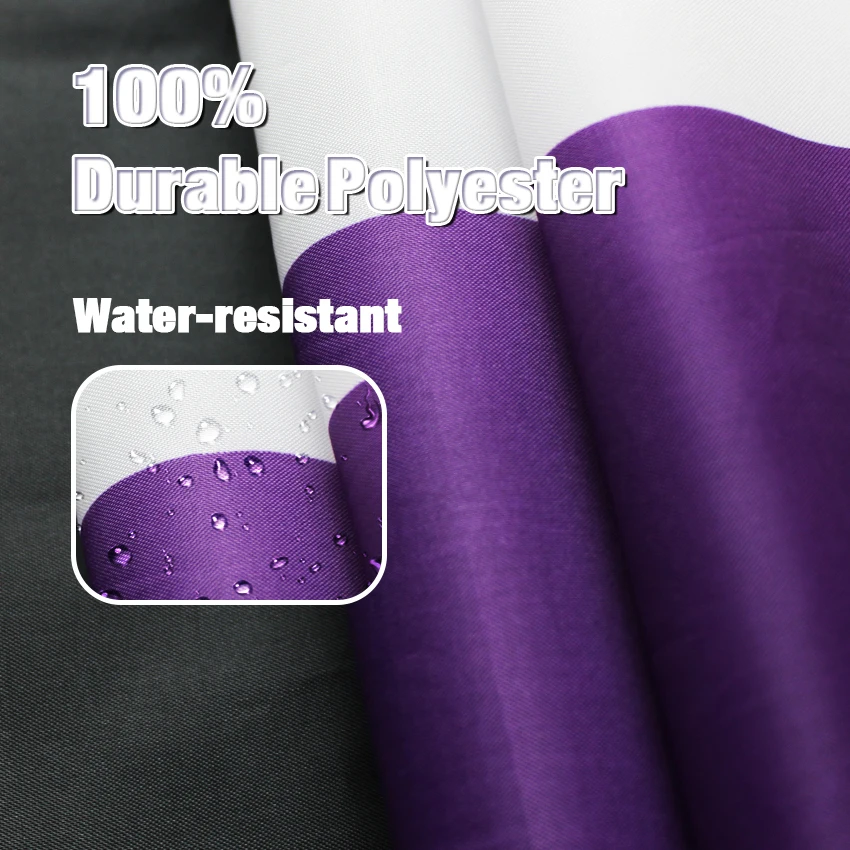 Demisexual Pride Flag- 3x5 Fts LGBTQIA Demisexuality Gender Rainbow Banner