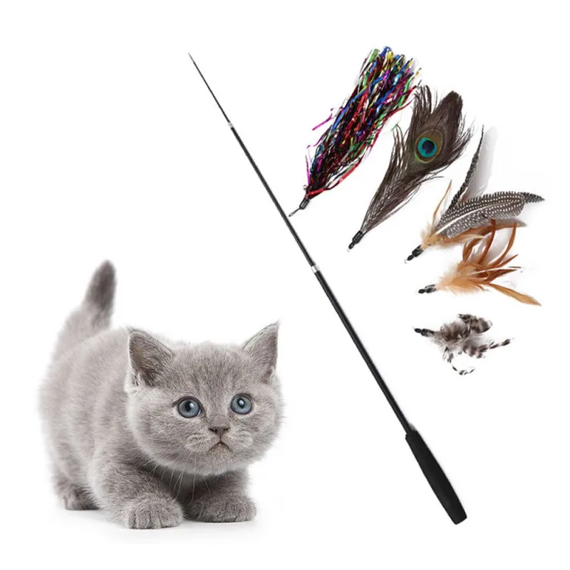 Pet Cat Three-section Telescopic Funny Cat Stick (without Funny Cat Head) Interactive Funny Toy Extended Rod Pet Accessories
Pet Cat Three-section Telescopic Funny Cat Stick (without Funny Cat Head) Interactive Funny Toy Extended Rod Pet Accessories