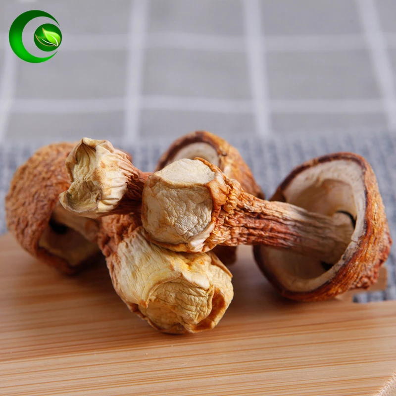 Agaricus Blazei,Agaricus Blazei Mushrooms,Agaricus Subrufescens,Agaricus Blazei Murrill,Agaricus Blazei,JiSongrong,Himematsutake
Agaricus Blazei,Agaricus Blazei Mushrooms,Agaricus Subrufescens,Agaricus Blazei Murrill,Agaricus Blazei,JiSongrong,Himematsutake