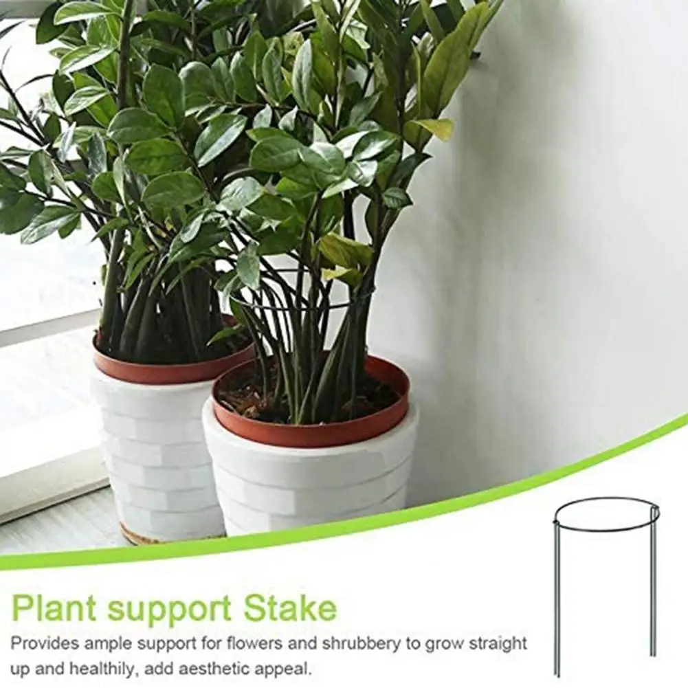 8Pcs Plant Support Stake Accessory Half Round High Density Iron Anti-corrosion Tomato Planting Flower Support Ring Garden Supply
8Pcs Plant Support Stake Accessory Half Round High Density Iron Anti-corrosion Tomato Planting Flower Support Ring Garden Supply