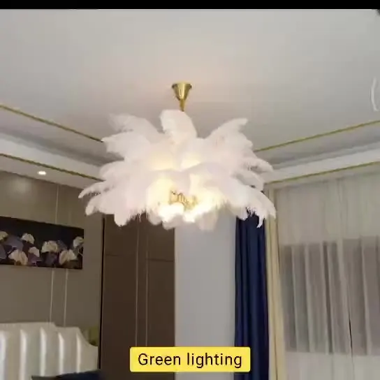 Скандинавская медная люстра, освещение для гостиной, лампа с страусиными перьями для спальни, подвесные светильники
Скандинавская медная люстра, освещение для гостиной, лампа с страусиными перьями для спальни, подвесные светильники