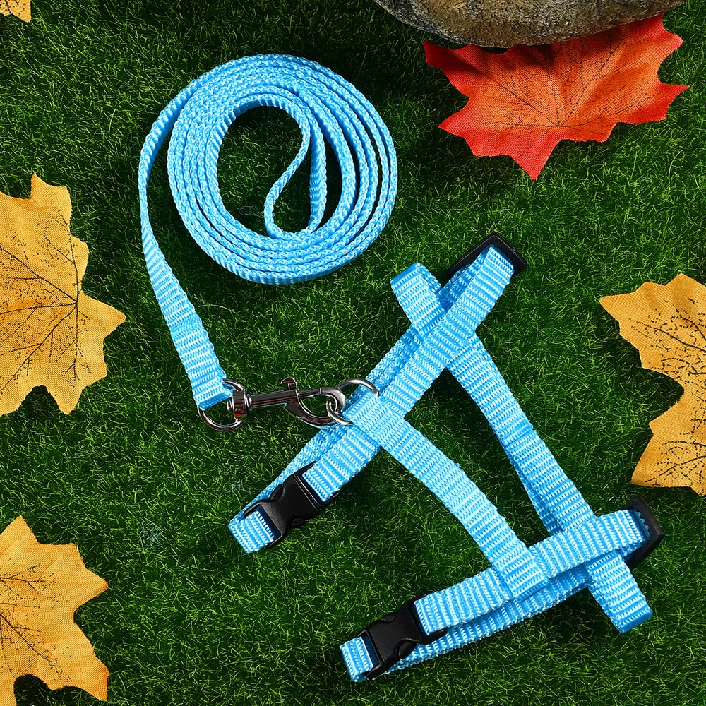 UEETEK Adjustable Pet Rabbit Walking Running Harness Leash Lead Pet Supplies (Sky-blue)
UEETEK Adjustable Pet Rabbit Walking Running Harness Leash Lead Pet Supplies (Sky-blue)