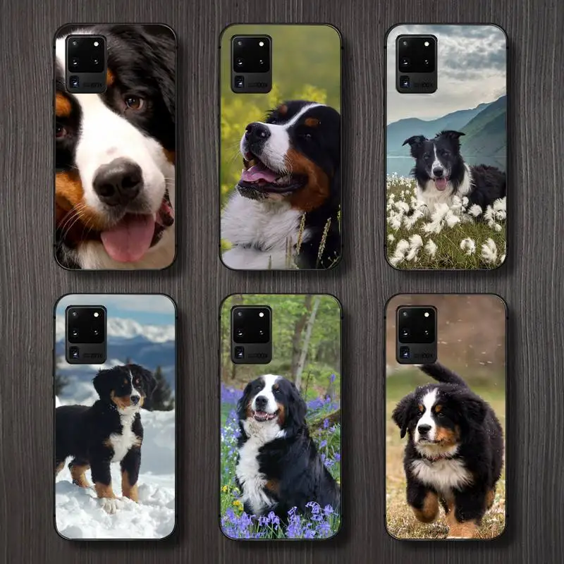 Bernese Mountain Dog Phone Case For Samsung galaxy A S note 10 7 8 9 20 30 31 40 50 51 70 71 21 s ultra plus
Bernese Mountain Dog Phone Case For Samsung galaxy A S note 10 7 8 9 20 30 31 40 50 51 70 71 21 s ultra plus