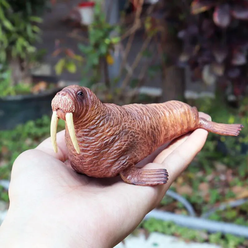 Children's Cognitive Science Education Toys Simulated Marine Biological Model Walrus Manatee Solid Plastic Ornaments
Children's Cognitive Science Education Toys Simulated Marine Biological Model Walrus Manatee Solid Plastic Ornaments