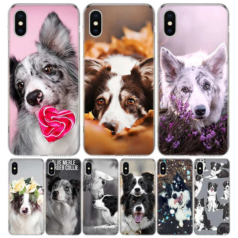 Border Collie Clever Silicon Call Phone Case For Apple iPhone 11 13 Pro Max 12 Mini 7 Plus 6 X XR XS 8 6S SE 5S + Cover Coque
Border Collie Clever Silicon Call Phone Case For Apple iPhone 11 13 Pro Max 12 Mini 7 Plus 6 X XR XS 8 6S SE 5S + Cover Coque