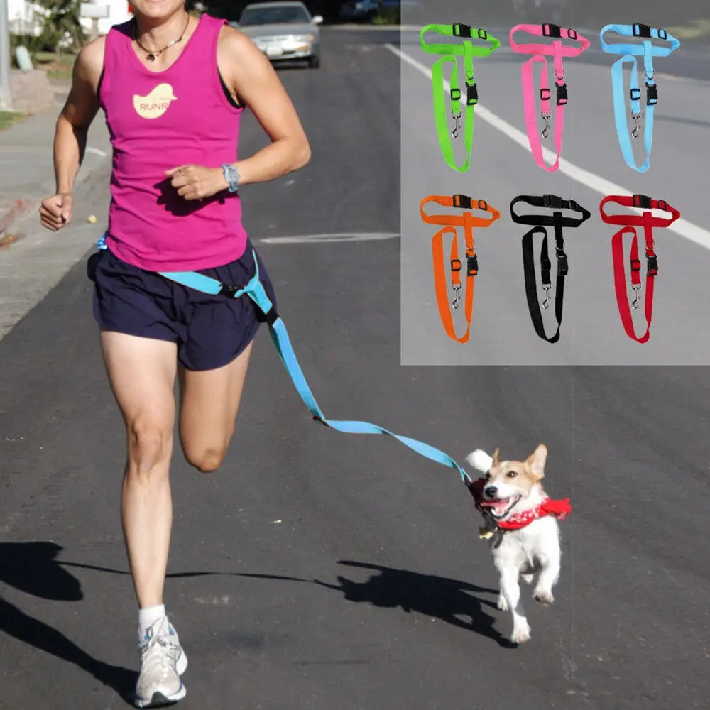 1pc Adjustable Pet Traction Leash Hands Free Chest Strap for Dog Running Walking Jogging
1pc Adjustable Pet Traction Leash Hands Free Chest Strap for Dog Running Walking Jogging