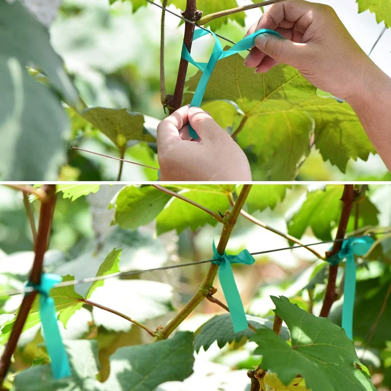 2 Pieces of 150-Foot x 1/2-Inch Wide Tape Green Garden Straps, Tying Tape, Gardening Straps
2 Pieces of 150-Foot x 1/2-Inch Wide Tape Green Garden Straps, Tying Tape, Gardening Straps