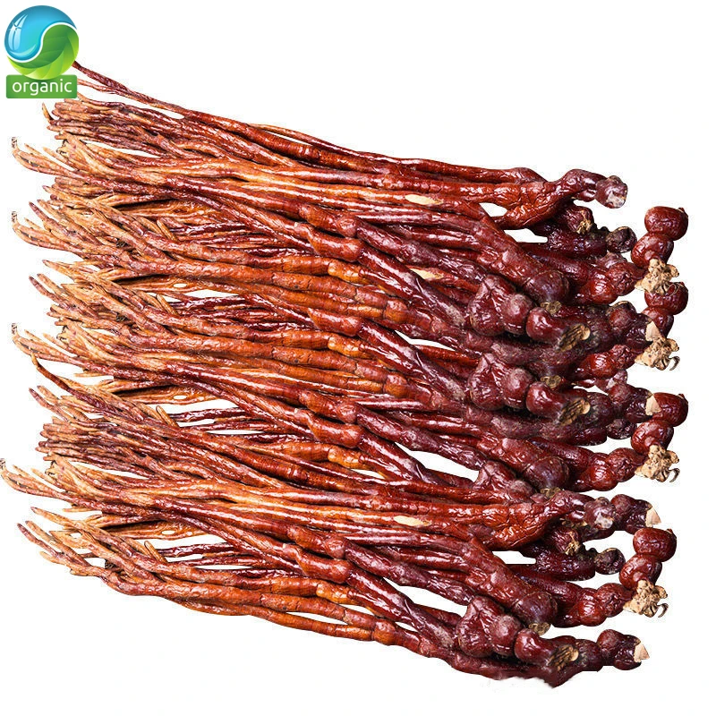 Экстракт Ganoderma Mushrums, рога экстракт Ganoderma Lucidum улучшить кашля и Insomnia500-1000g
Экстракт Ganoderma Mushrums, рога экстракт Ganoderma Lucidum улучшить кашля и Insomnia500-1000g
