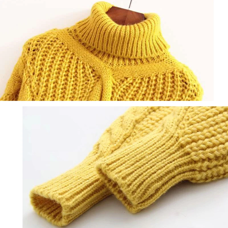 Autumn Winter Turtleneck Sweater Women Oversize Twisted Knitted Sweaters Casual Thick Warm Lantern Long Sleeve Pullover Sweater
Autumn Winter Turtleneck Sweater Women Oversize Twisted Knitted Sweaters Casual Thick Warm Lantern Long Sleeve Pullover Sweater