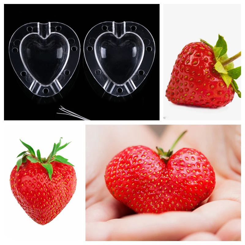 5Pcs/set Plastic Cucumber Apple Vegetable Growth Forming Mold Heart/Star/Love Fruit Shaping Mould Transparent Garden Nursery Pot
5Pcs/set Plastic Cucumber Apple Vegetable Growth Forming Mold Heart/Star/Love Fruit Shaping Mould Transparent Garden Nursery Pot