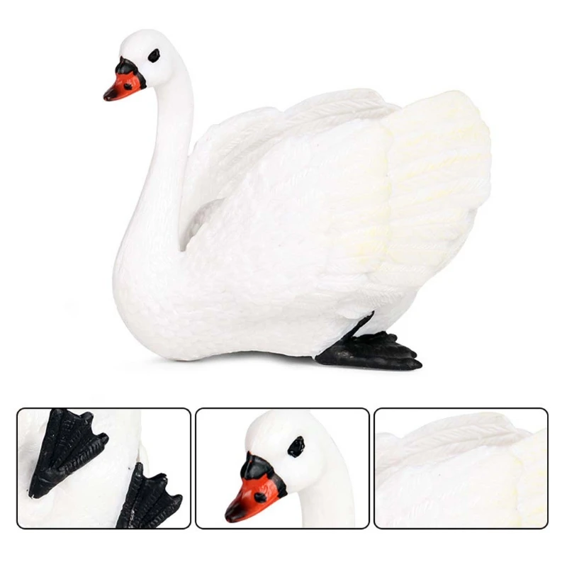 Simulation Static Solid Animal Model Ornaments Realistic Swan Children Educational Props Scene Decoration Kids Toy
Simulation Static Solid Animal Model Ornaments Realistic Swan Children Educational Props Scene Decoration Kids Toy