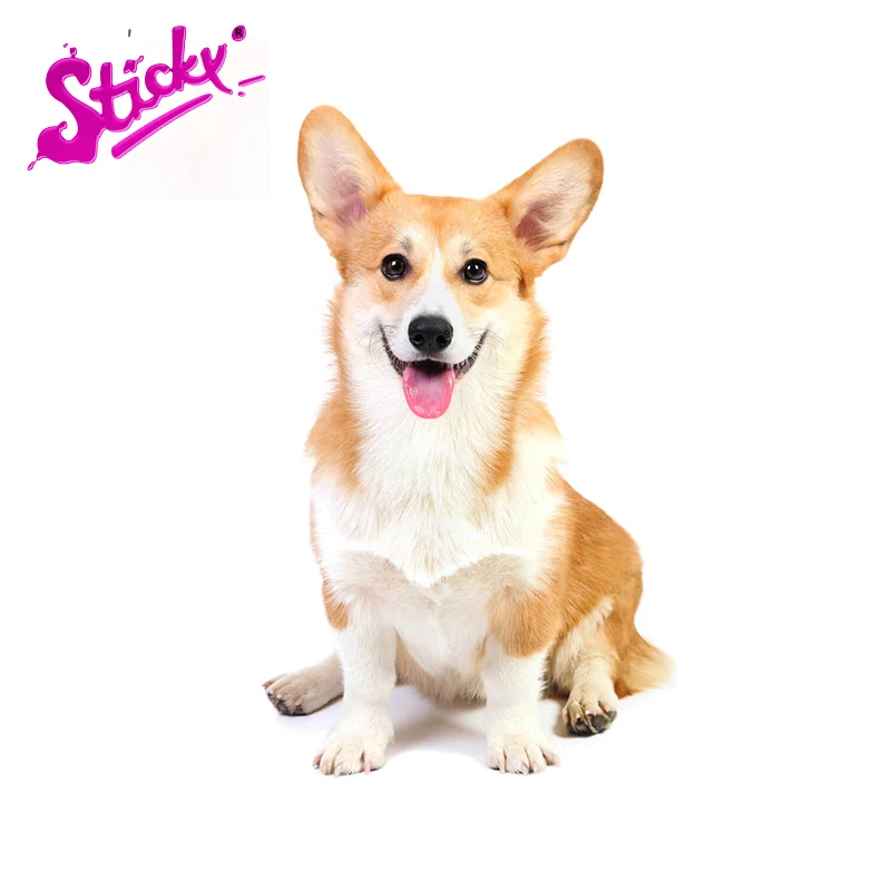 STICKY 3D Corgi Dog Cute Car Stickers Decal for Bicycle Motorcycle Accessories Laptop Helmet Trunk Wall Stickers
STICKY 3D Corgi Dog Cute Car Stickers Decal for Bicycle Motorcycle Accessories Laptop Helmet Trunk Wall Stickers