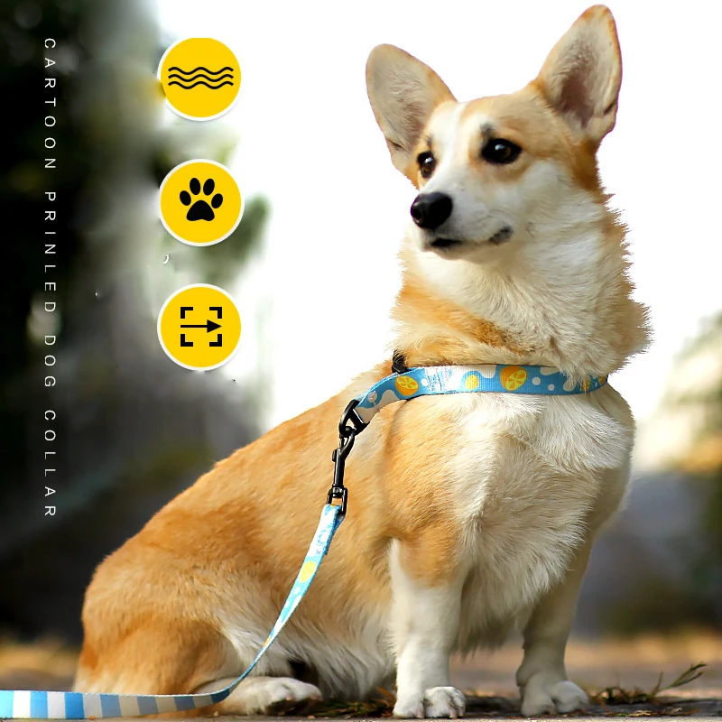 

Dog Leash Running Hands Free Elastic Reflective Training Pet Bungee Dog Lead Leash For Dogs Extendable Strong Leads Pet Leashes