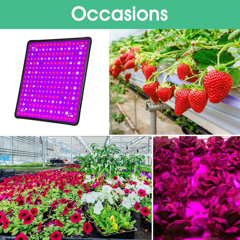 27W LED Plant Growth Light Plant Growing Lights Red/Blue/White Panel Full Spectrum Phytolamp for Indoor Plants 256 LED Beads
27W LED Plant Growth Light Plant Growing Lights Red/Blue/White Panel Full Spectrum Phytolamp for Indoor Plants 256 LED Beads
