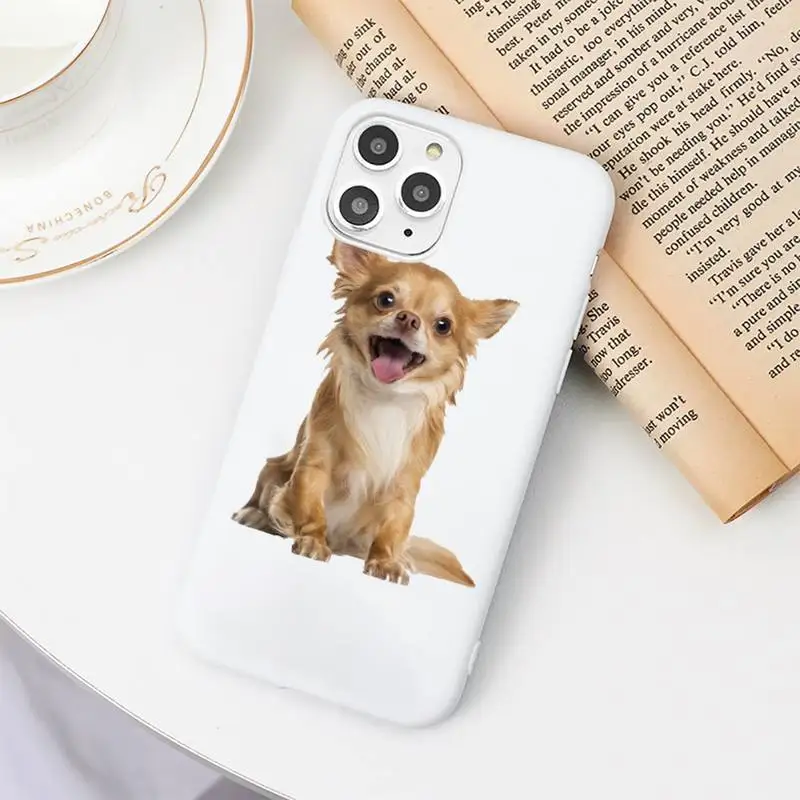 Chihuahua Dog Cute animal high quality Phone Case shell Candy Color for iPhone 6 7 8 11 12 s mini pro X XS XR MAX Plus 
Chihuahua Dog Cute animal high quality Phone Case shell Candy Color for iPhone 6 7 8 11 12 s mini pro X XS XR MAX Plus