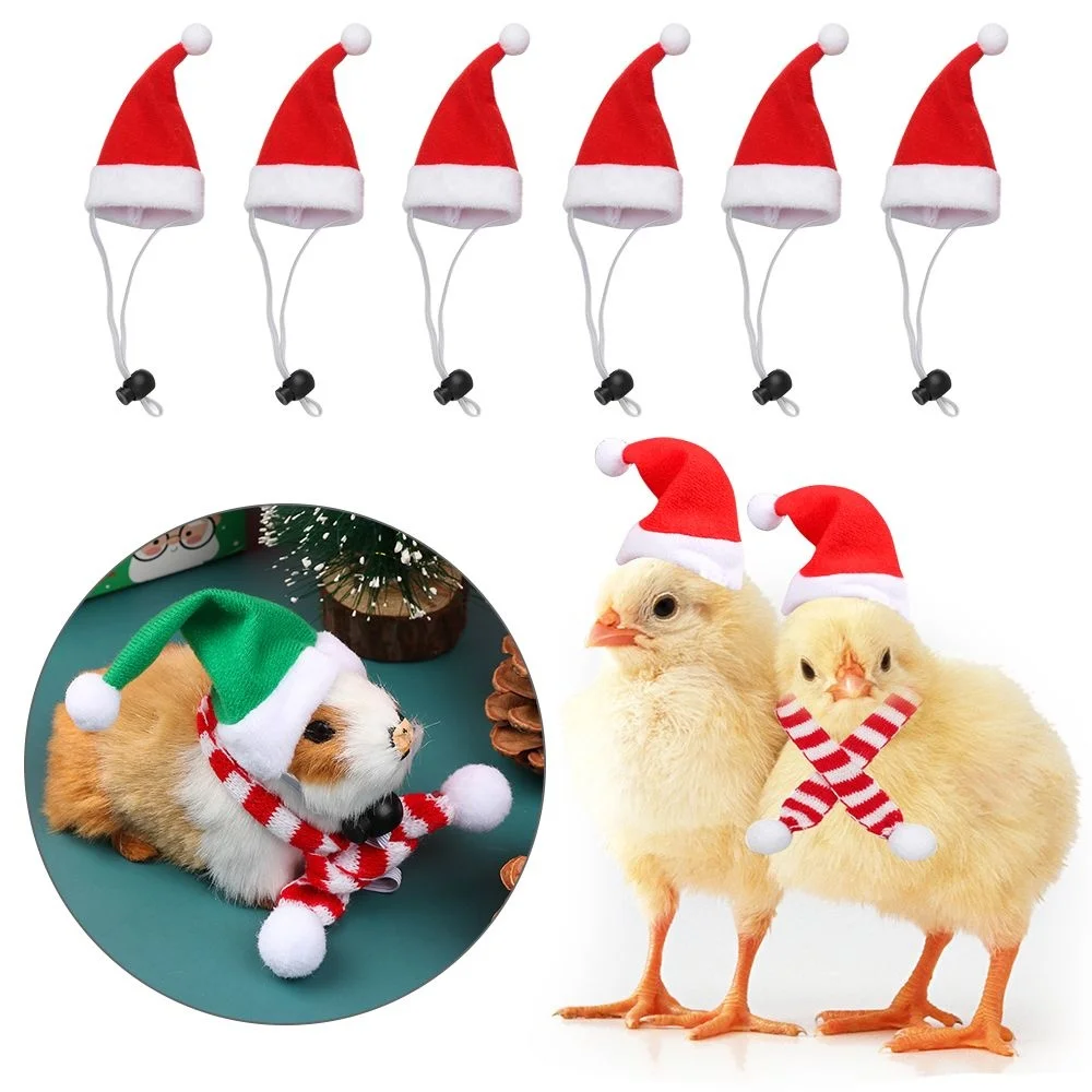 1 Set Chicken Pet Christmas Hhat Scarf Decoration Adjustable Christmas Lizard Guinea Pig Costume Set Christmas Decoration
1 Set Chicken Pet Christmas Hhat Scarf Decoration Adjustable Christmas Lizard Guinea Pig Costume Set Christmas Decoration