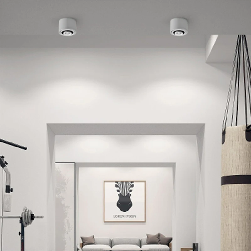 Dimmable Surface Mounted LED COB Downlight 360 Degree Rotating LED Spot Light 15W/9W/5W Ceiling Lamp with LED Driver house decor
Dimmable Surface Mounted LED COB Downlight 360 Degree Rotating LED Spot Light 15W/9W/5W Ceiling Lamp with LED Driver house decor