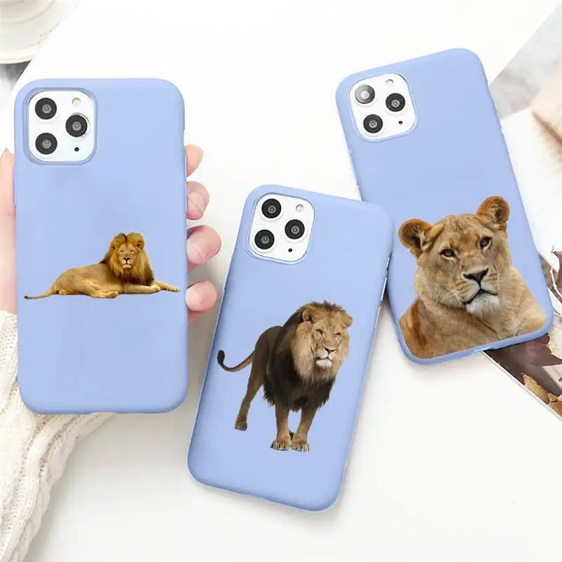 Horror animal lion King of the forest Phone Case Candy Color for iPhone 6 7 8 11 12 13 s mini pro X XS XR MAX Plus
Horror animal lion King of the forest Phone Case Candy Color for iPhone 6 7 8 11 12 13 s mini pro X XS XR MAX Plus
