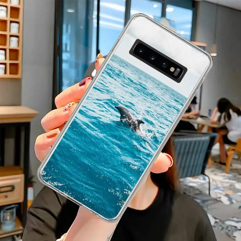 Shark Whale Dumpling Phone Case For Samsung S6 S7 S7edge S8 S8plus S9 S9plus S10 S10 plus E 
Shark Whale Dumpling Phone Case For Samsung S6 S7 S7edge S8 S8plus S9 S9plus S10 S10 plus E