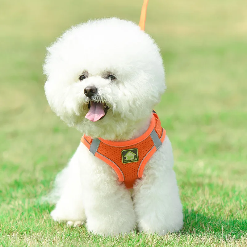 Puppy Cat Vest Harness Collar Small Medium Dogs Breathable Cute Safety Pet Chest Strap Small Dog Pet Harness And Leash Set
Puppy Cat Vest Harness Collar Small Medium Dogs Breathable Cute Safety Pet Chest Strap Small Dog Pet Harness And Leash Set