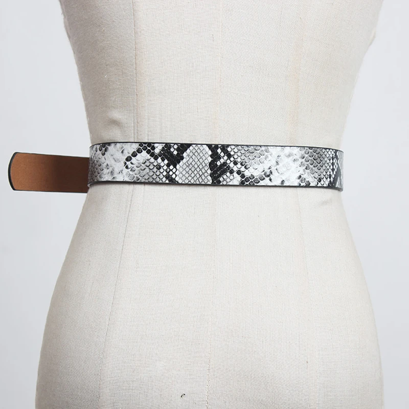 SeeBeautiful Metal Pin Buckle PU Leather Waist Seal Belt Girdle New Fashion Tide Spring 2021 Women M003
SeeBeautiful Metal Pin Buckle PU Leather Waist Seal Belt Girdle New Fashion Tide Spring 2021 Women M003