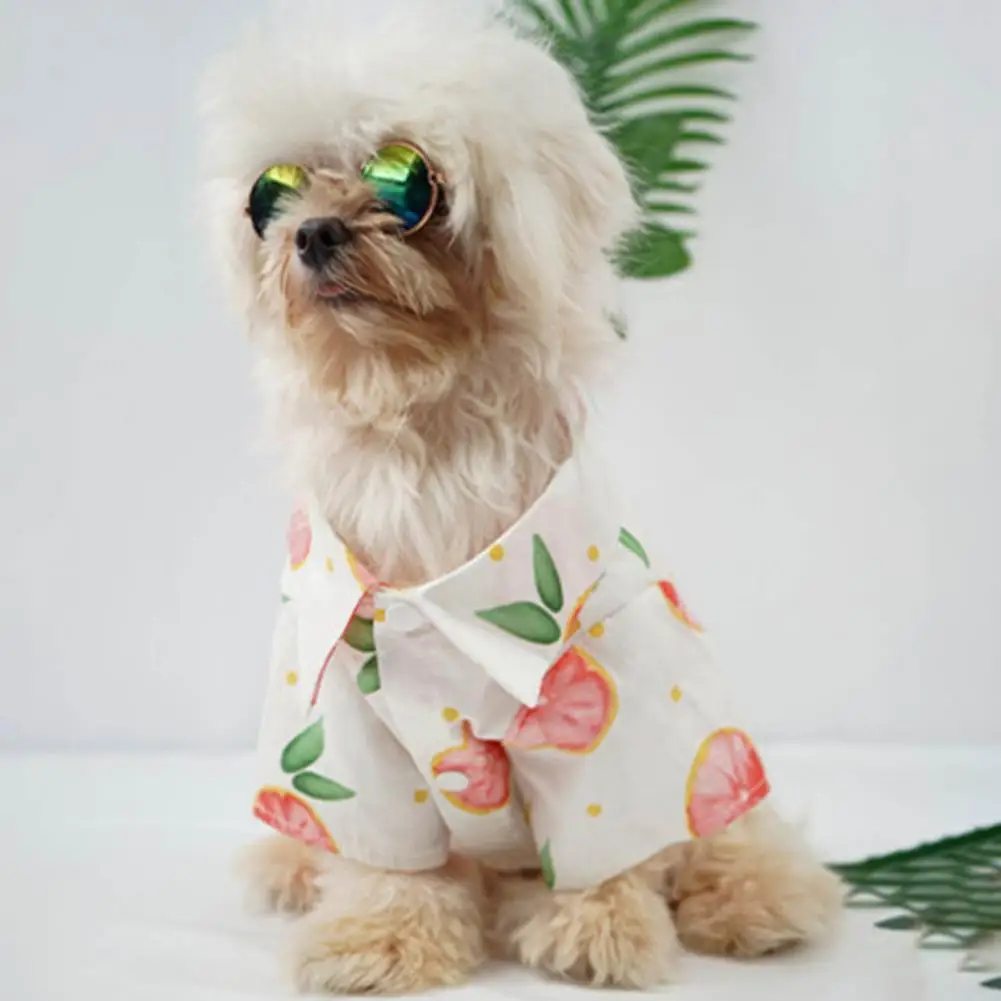 Adorable Stylish Pet Dogs T-shirt Clothes Elastic Dogs Pajamas Cartoon Fruit Pattern Pet Accessories
Adorable Stylish Pet Dogs T-shirt Clothes Elastic Dogs Pajamas Cartoon Fruit Pattern Pet Accessories