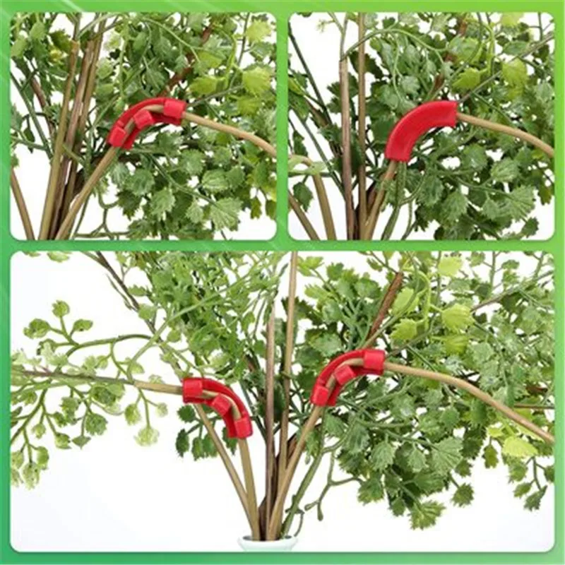 5-40Pcs Plant Branches Bender 45/90 Degree Plant Bending Growth Trainer Clips for Plant Low Stress Training Control Fixing Clip
5-40Pcs Plant Branches Bender 45/90 Degree Plant Bending Growth Trainer Clips for Plant Low Stress Training Control Fixing Clip