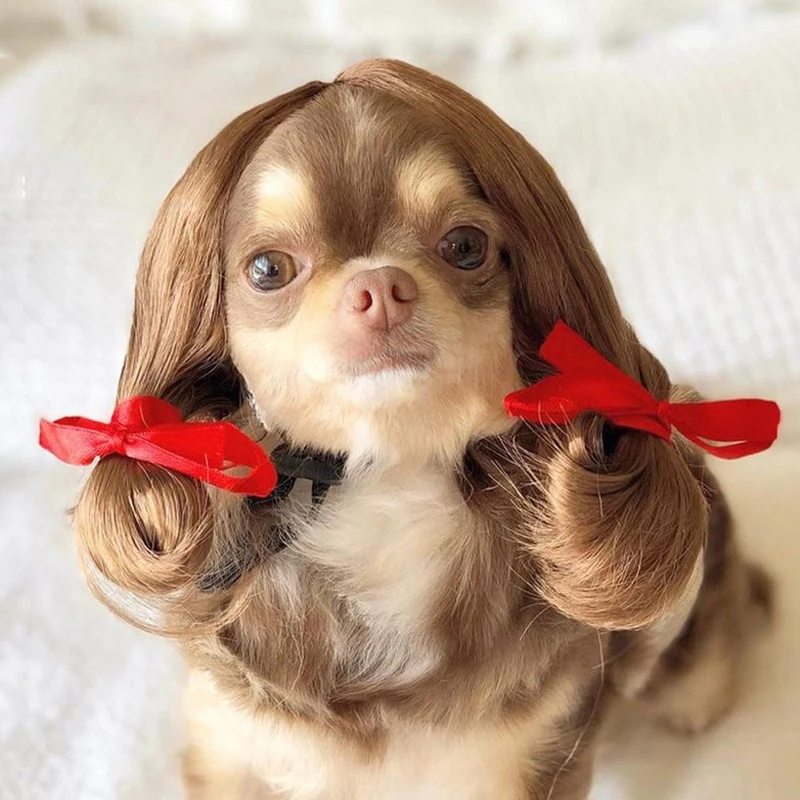 Pet Wigs Cosplay Props Dog Cat Cross-Dressing Hair Set Hat Costumes Funny Props Head Accessories Prank Pet Supplies Dropshipping 
Pet Wigs Cosplay Props Dog Cat Cross-Dressing Hair Set Hat Costumes Funny Props Head Accessories Prank Pet Supplies Dropshipping