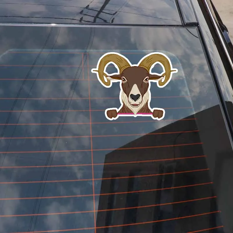 Funny Animal Sheep Decal Car Sticker Waterproof To Cover Scratches Sunscreen Waterproof PVC 16CM *12.5CM
Funny Animal Sheep Decal Car Sticker Waterproof To Cover Scratches Sunscreen Waterproof PVC 16CM *12.5CM