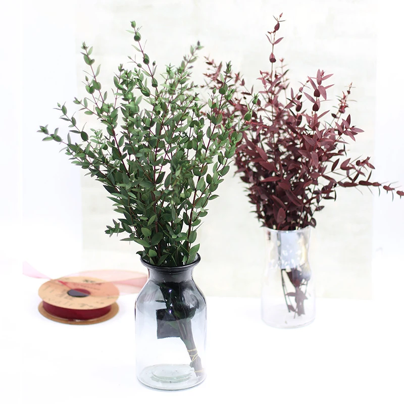 Eucalyptus Leaves DIY Home Decoration Artificial Plants A Grade Preserved Flower Bathroom Decor For Room Wedding Deco Supplies
Eucalyptus Leaves DIY Home Decoration Artificial Plants A Grade Preserved Flower Bathroom Decor For Room Wedding Deco Supplies