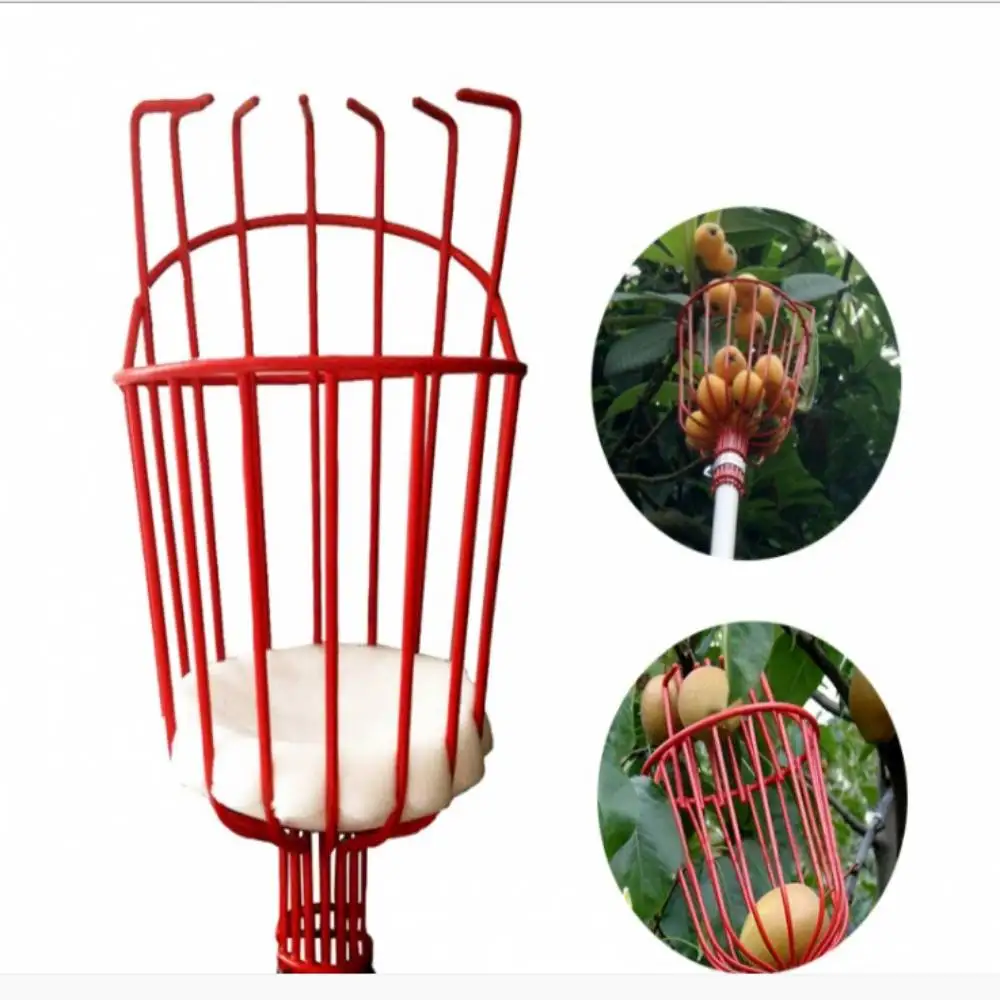 Garden Tools Metal Fruit Picker Gardening Fruits Collection Picking Head Tool Fruit Catcher Device Greenhouse Fruit Picker
Garden Tools Metal Fruit Picker Gardening Fruits Collection Picking Head Tool Fruit Catcher Device Greenhouse Fruit Picker
