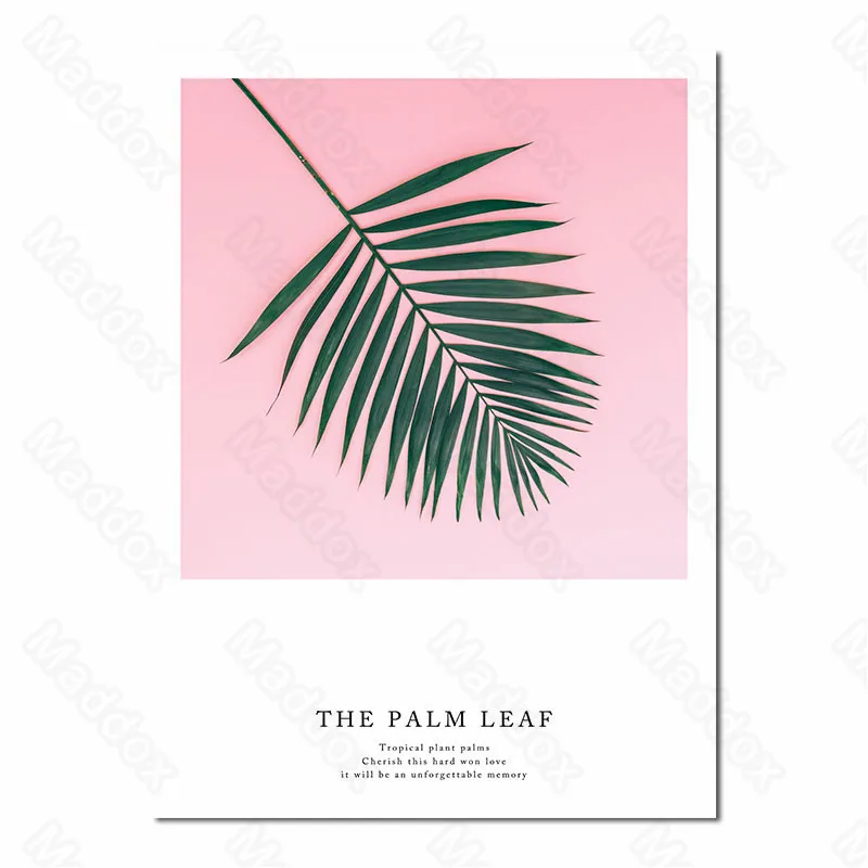 Waterproof Ink Modern Fashion Nordic Style Rose Color Girl Heart Living Room Dining Room Hanging Painting Decorative Painting
Waterproof Ink Modern Fashion Nordic Style Rose Color Girl Heart Living Room Dining Room Hanging Painting Decorative Painting