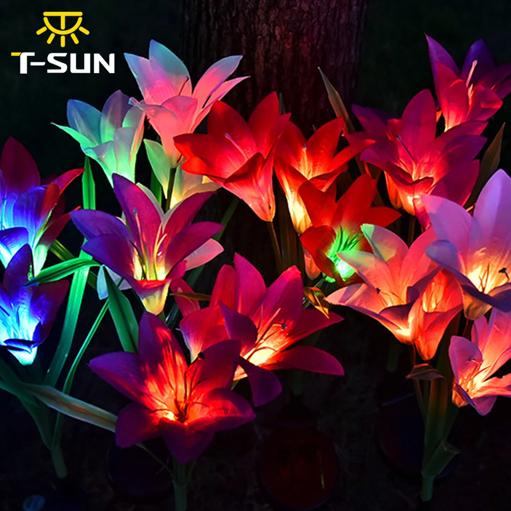 T-SUN 3PCS Solar Powered Light IP65 Waterproof Solar Lights For Outdoor Garden Courtyard Garden Yard Decor Garden Flower Lamp
T-SUN 3PCS Solar Powered Light IP65 Waterproof Solar Lights For Outdoor Garden Courtyard Garden Yard Decor Garden Flower Lamp