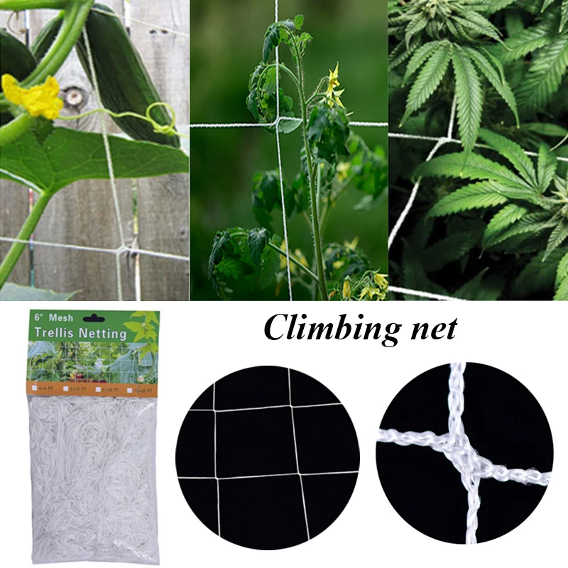 Mesh 2.7/5/10m Polyester Net Loofah Netting For Morning Glory Vine Flowers Garden Plants Climbing Net Cucumber Vine Grow Holder
Mesh 2.7/5/10m Polyester Net Loofah Netting For Morning Glory Vine Flowers Garden Plants Climbing Net Cucumber Vine Grow Holder
