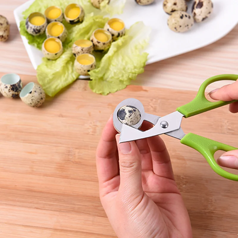 10PCS Stainless Steel Quail Egg Cutter Scissors Pigeon Bird Quail Egg Cutter Opener Cracker Kitchen Clipper Tool
10PCS Stainless Steel Quail Egg Cutter Scissors Pigeon Bird Quail Egg Cutter Opener Cracker Kitchen Clipper Tool
