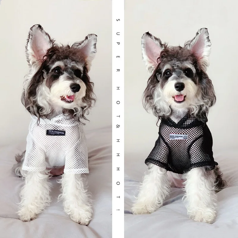 Pet Summer Grid Cat Clothes Fishnet Fashion Breathable Ultra-thin Clothes For Cats and Small Dogs Teddy
Pet Summer Grid Cat Clothes Fishnet Fashion Breathable Ultra-thin Clothes For Cats and Small Dogs Teddy