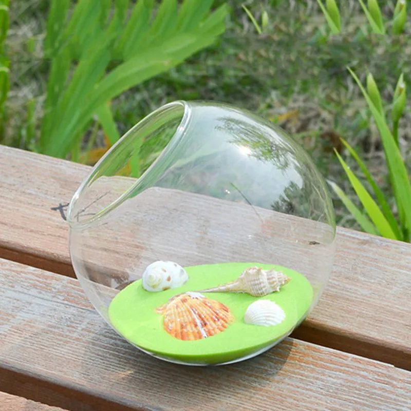 64 шт./упаковка, стеклянные вазы для террариума, 10 см
64 шт./упаковка, стеклянные вазы для террариума, 10 см