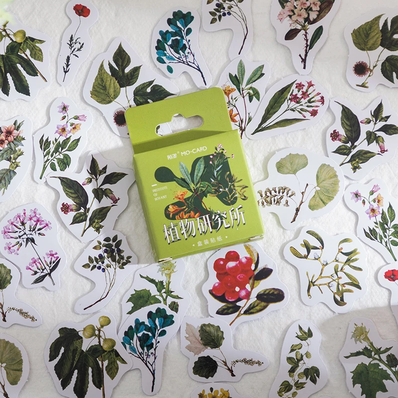 Dark Green Plants Phone Aesthetic Stickers Decoracion Scrapbooking Accessories Sticker Flakes Office School Supplies 46PCS
Dark Green Plants Phone Aesthetic Stickers Decoracion Scrapbooking Accessories Sticker Flakes Office School Supplies 46PCS