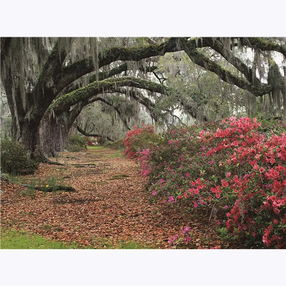 Vinyl Custom Photography Backdrops scenery Theme Photography Background TI200428-04
Vinyl Custom Photography Backdrops scenery Theme Photography Background TI200428-04